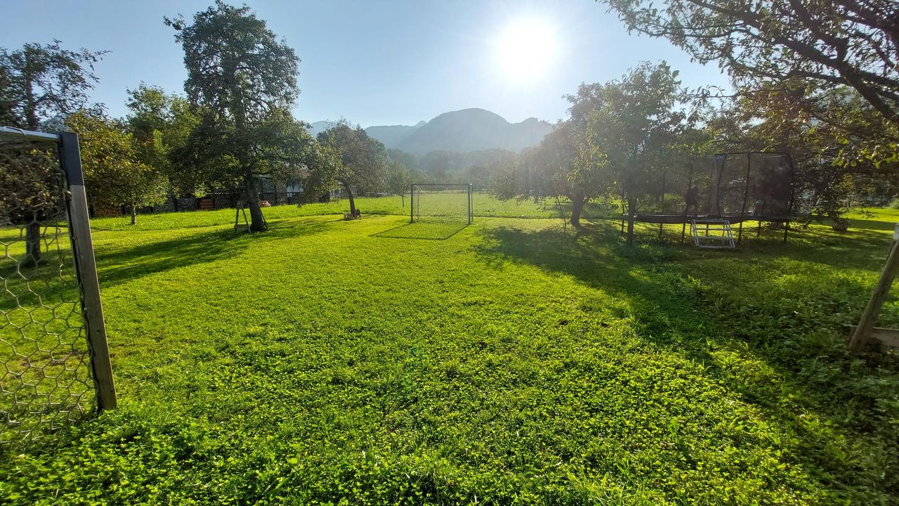 Garten- "hauseigener Fußballplatz" zwischen Obstbäumen Garten- "hauseigener Fußballplatz" zwischen Obstbäumen